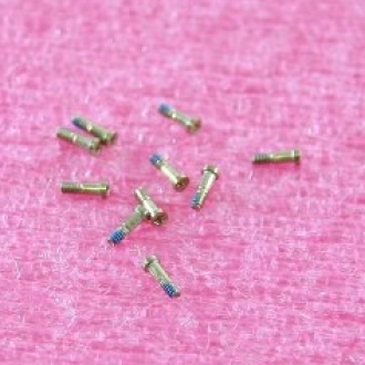 Винт iPhone 5/5S внешний (2 шт.)