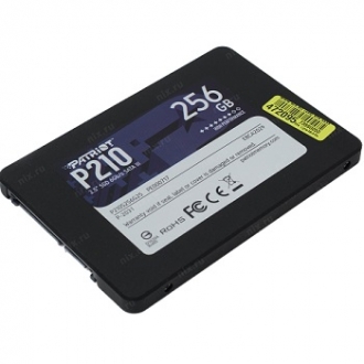 Жесткий диск SSD 250Gb GoldenfiR 2.5" - изображение 1