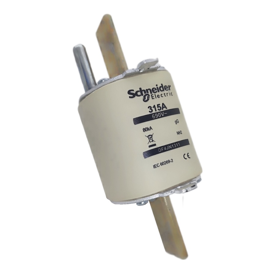 Предохранитель Schneider Electric DF4JN1311 315A 690V gG